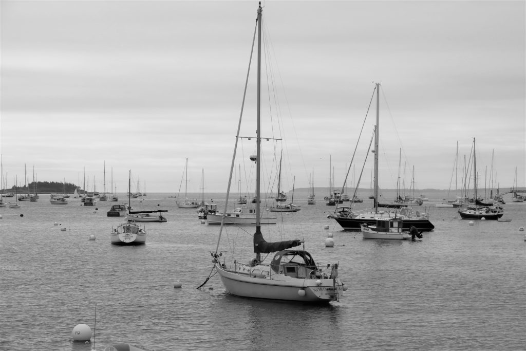 Black and white photograph of boats anchored in a harbour